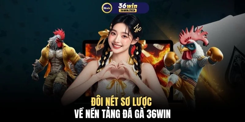 Đá gà 36WIN 1 Đôi nét sơ lược về nền tảng đá gà 36WIN