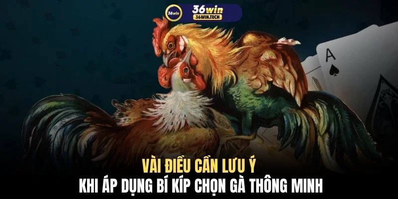 Tổng Hợp Bí Kíp Chọn Gà Chiến Chuẩn Xác Thu Hút 50.000 Sư Kê 4 Vài điều cần lưu ý khi áp dụng bí kíp chọn gà thông minh